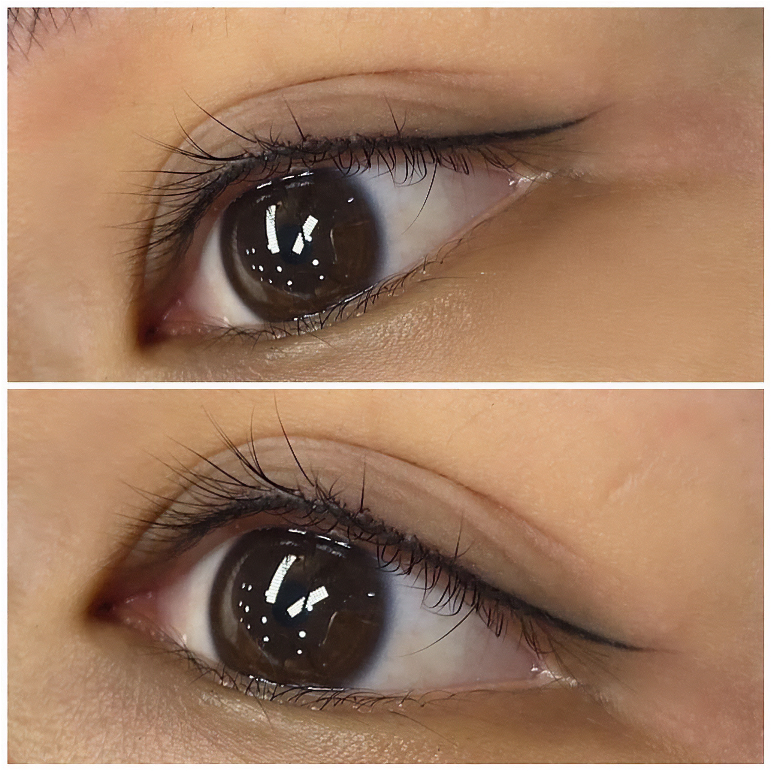 Mực màu đen - Black