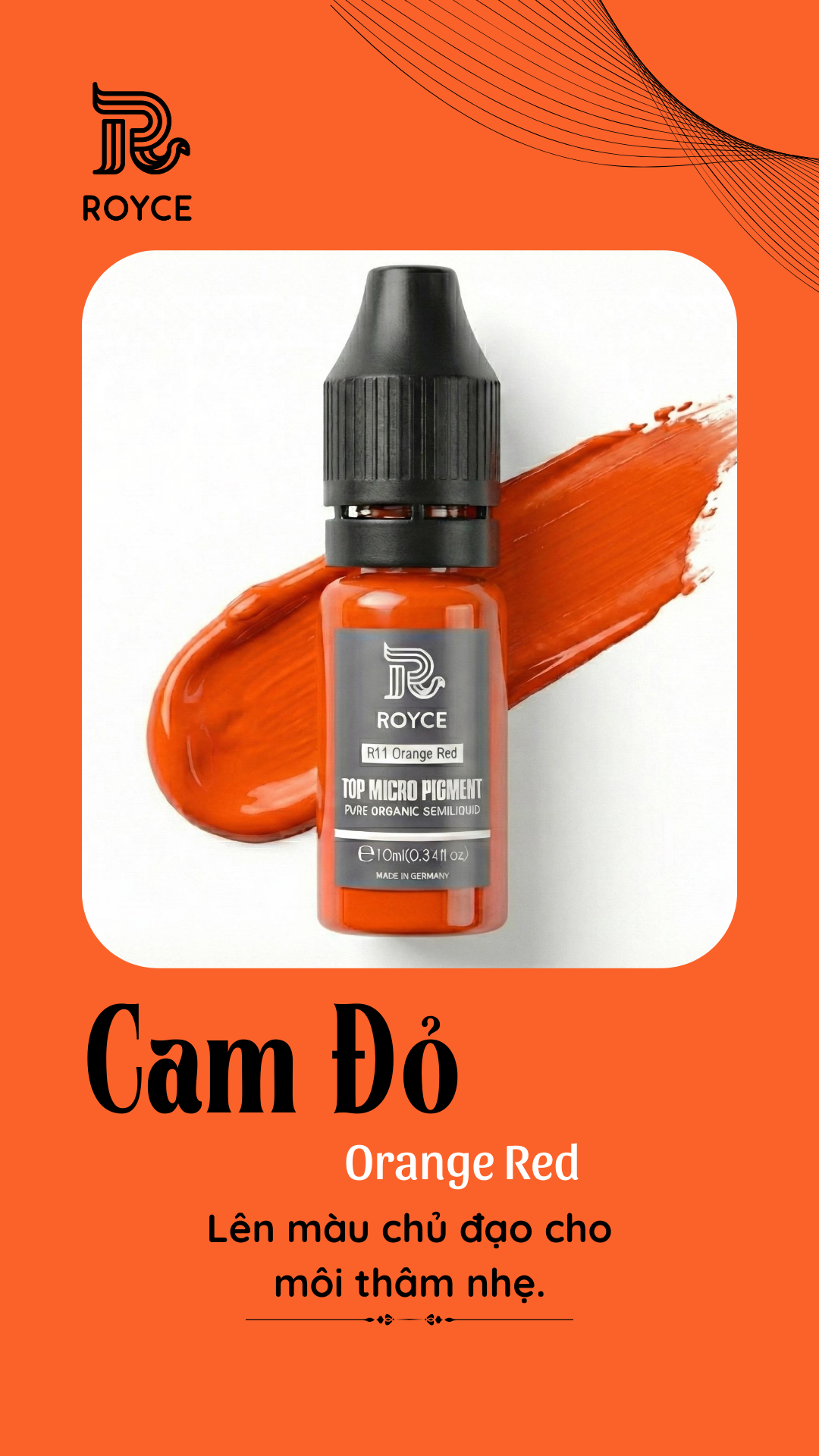 Bộ dụng cụ lên người đầy đủ